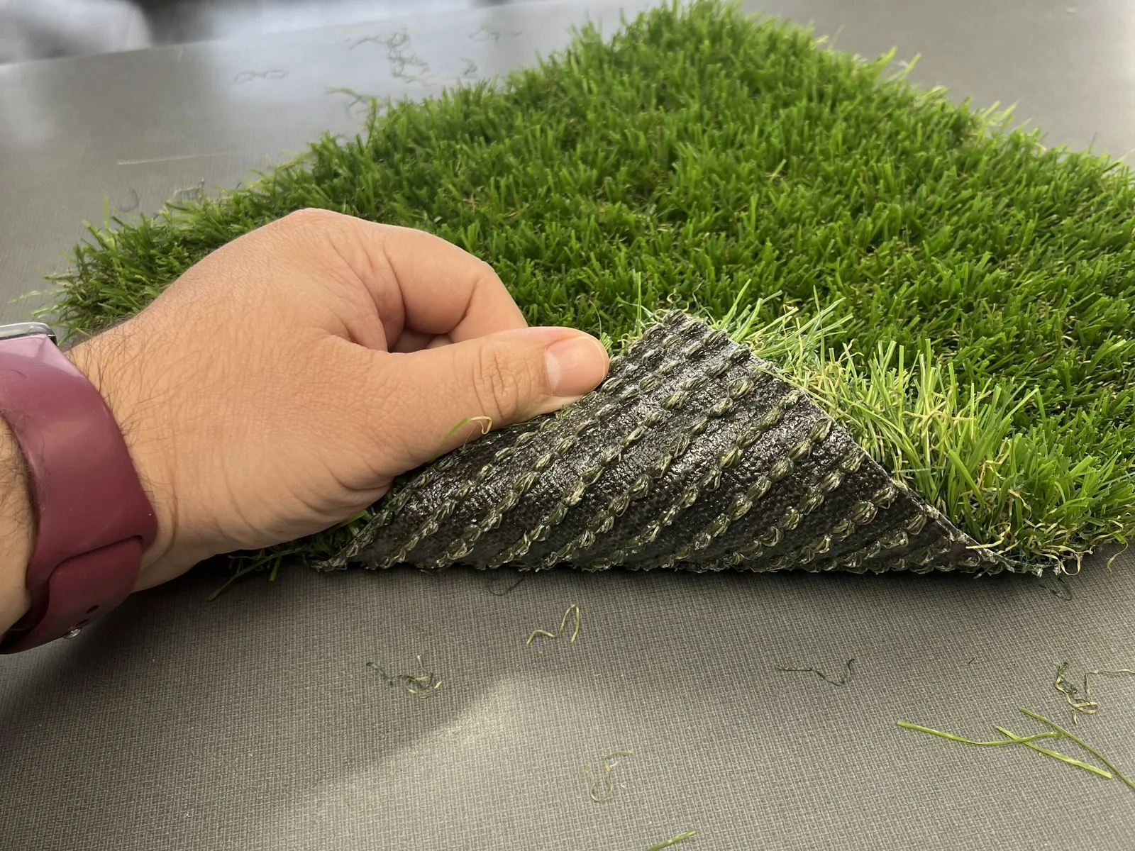 Hand lifting the corner of an artificial turf sample to show the backing