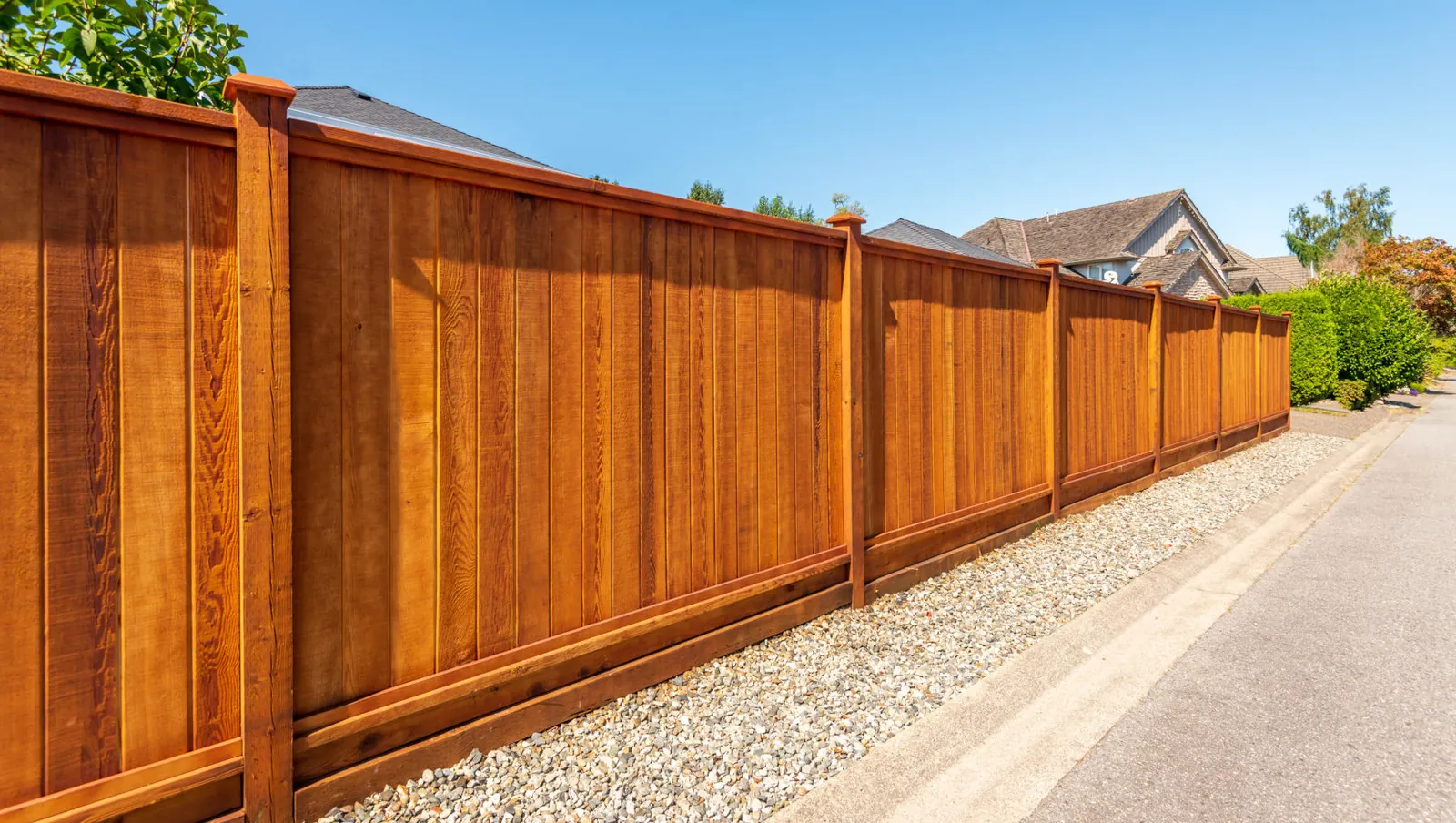Fence staining finished on a long run of cedar privacy fence