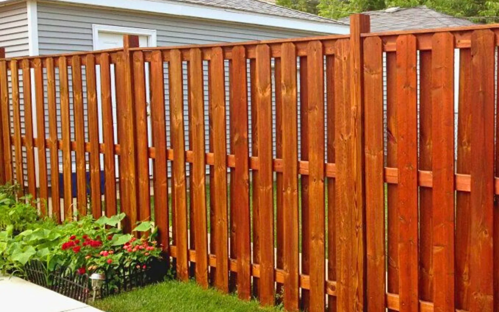Shadowbox wood fence with a fresh coat of stain beside a flower bed