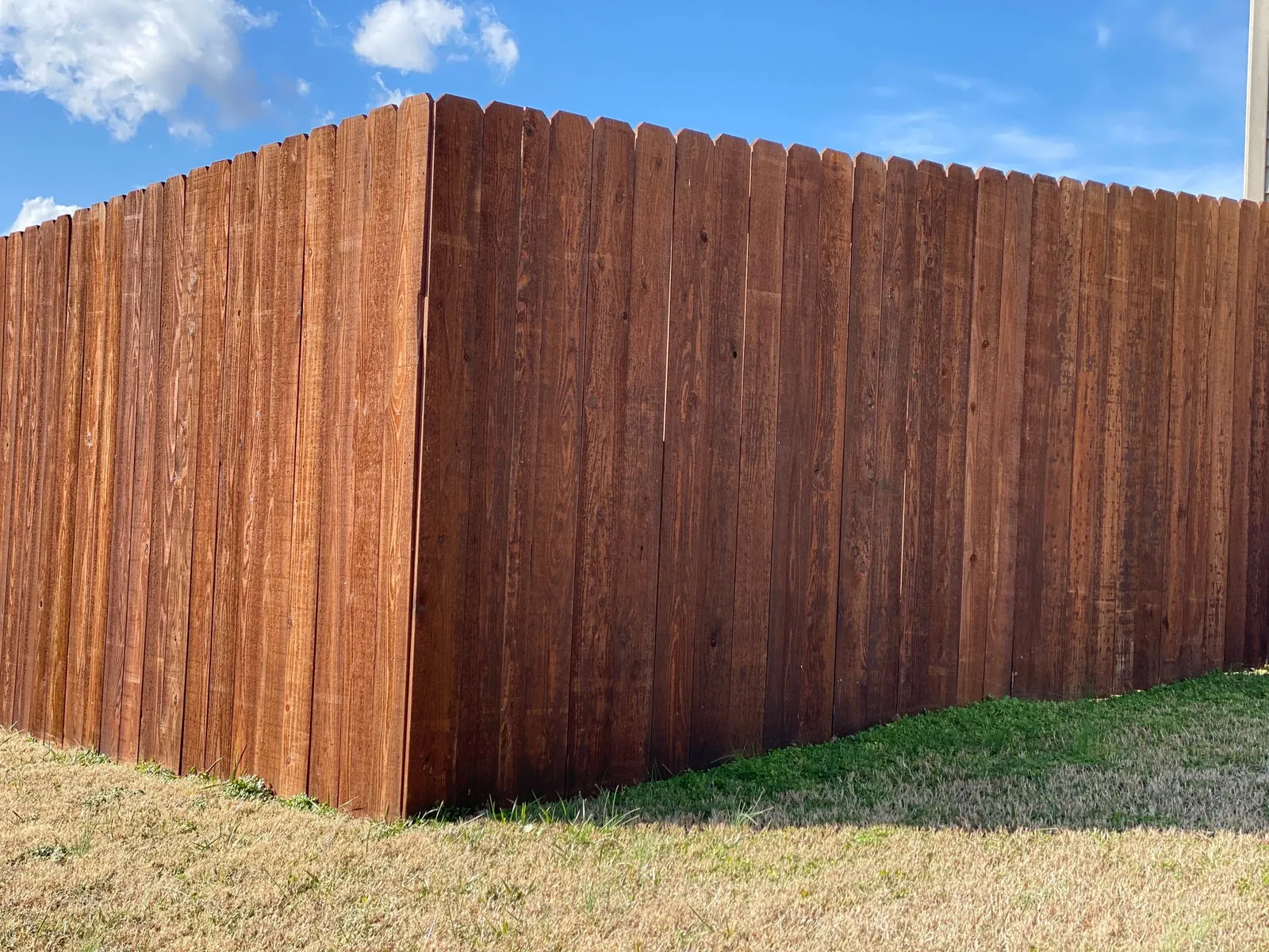 Wood privacy fence finished in a semi-transparent stain with the grain still showing