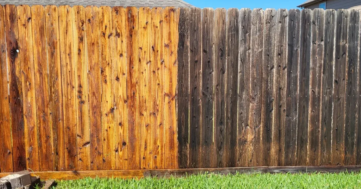 Wood fence half stained, the stained boards beside gray weathered pickets